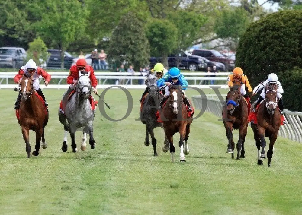 Data Link - 041312 Race 09 Head On Keeneland