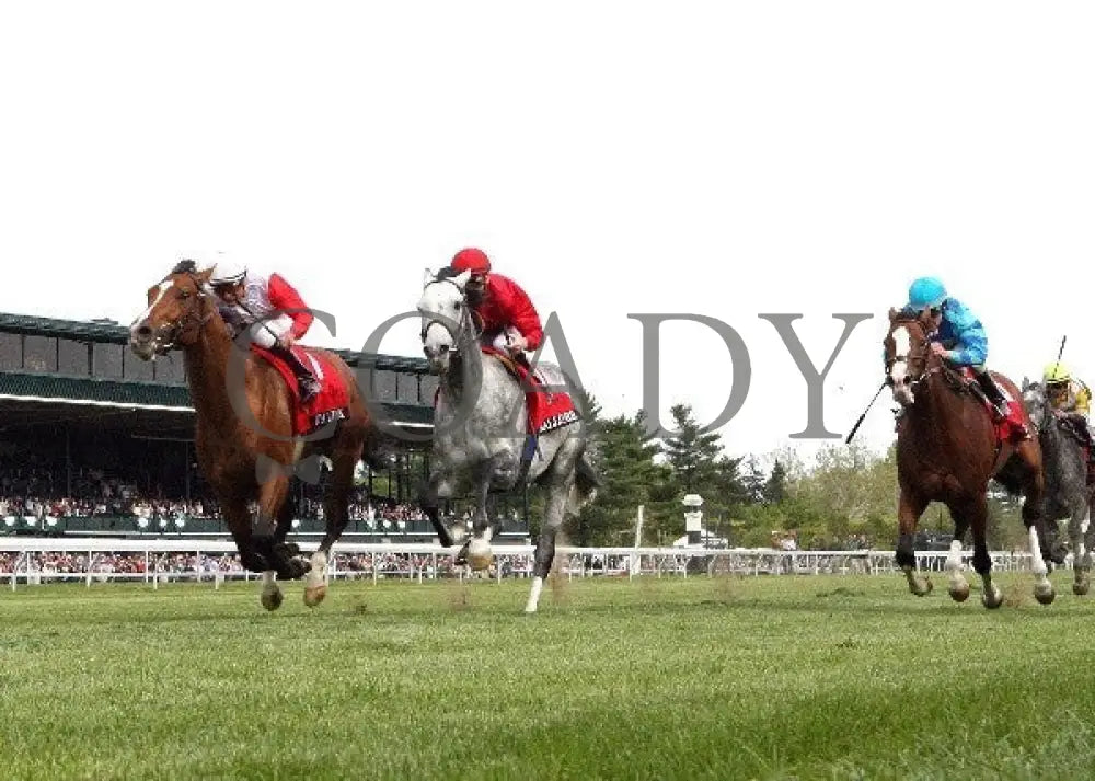 Data Link - 041312 Race 09 Under Rail Keeneland