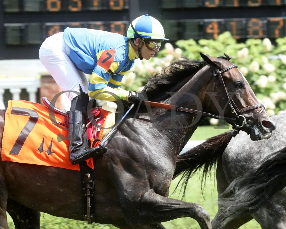 Delahaye - Old Forester Mint Julep G3 48Th Running 06-02-24 R07 Cd First Pass 01 Churchill Downs