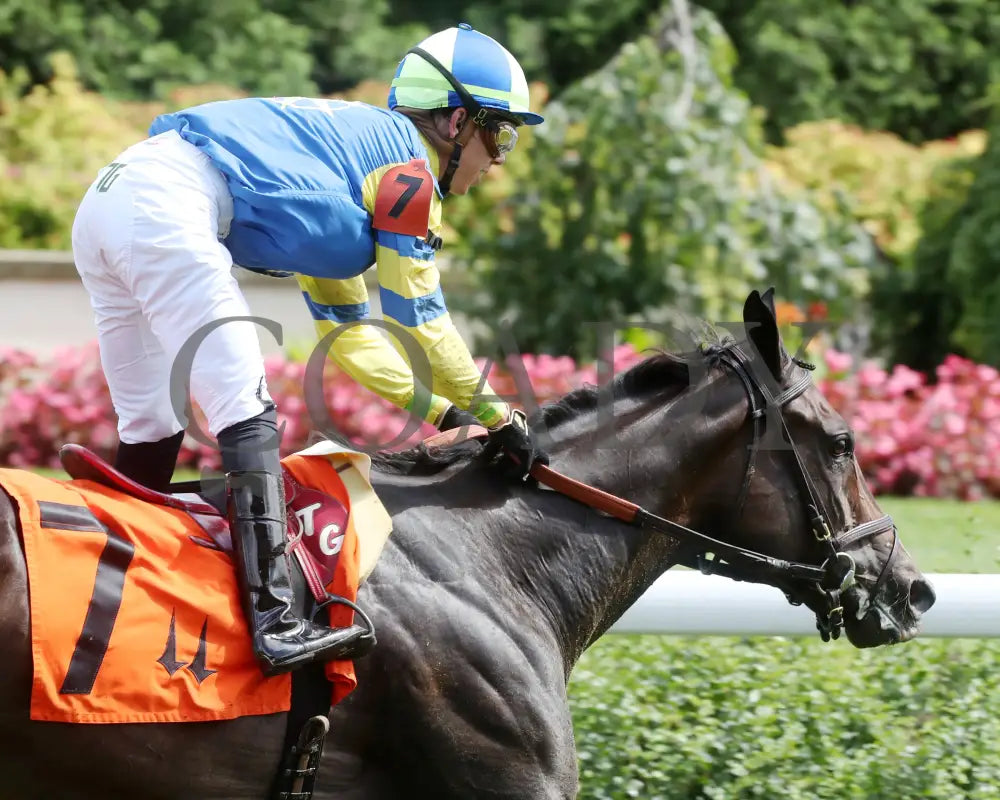 Delahaye - Old Forester Mint Julep G3 48Th Running 06-02-24 R07 Cd Gallop Out 01 Churchill Downs