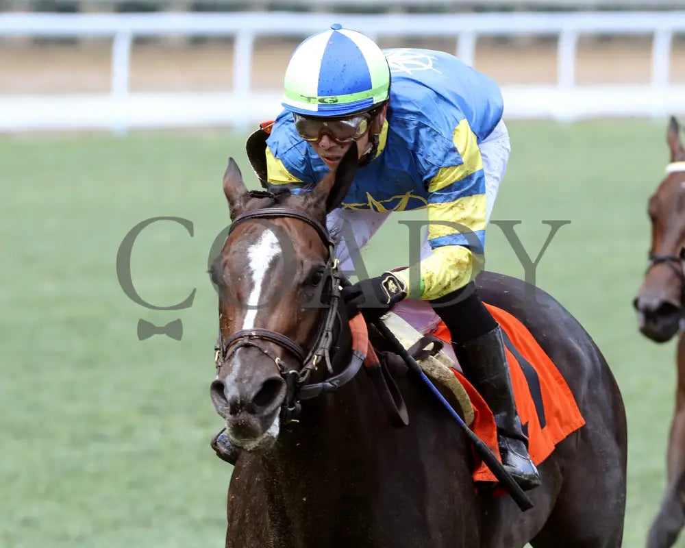 Delahaye - Old Forester Mint Julep G3 48Th Running 06-02-24 R07 Cd -Inside Finish 01 Churchill Downs