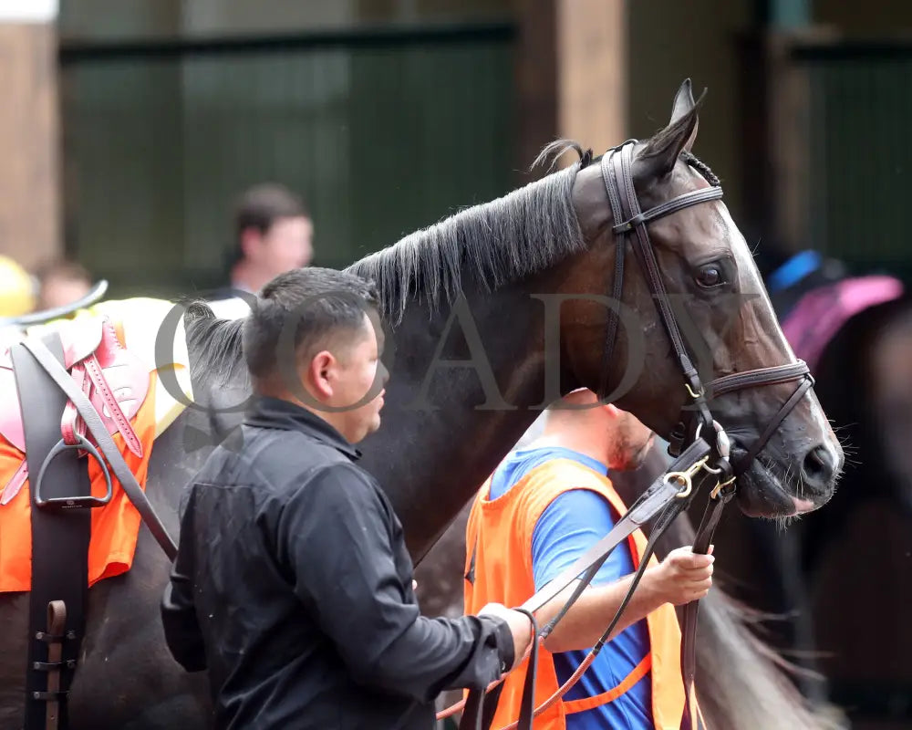 Delahaye - Old Forester Mint Julep G3 48Th Running 06-02-24 R07 Cd Paddock 02 Churchill Downs