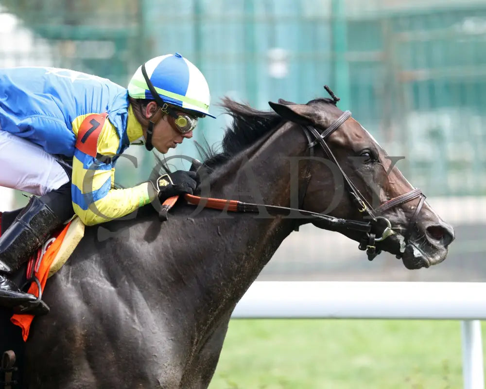 Delahaye - Old Forester Mint Julep G3 48Th Running 06-02-24 R07 Cd Tight Finish 01 Churchill Downs
