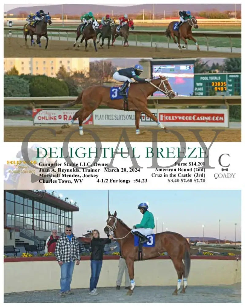 Delightful Breeze - 03 - 20 - 24 R01 Ct Hollywood Casino At Charles Town Races