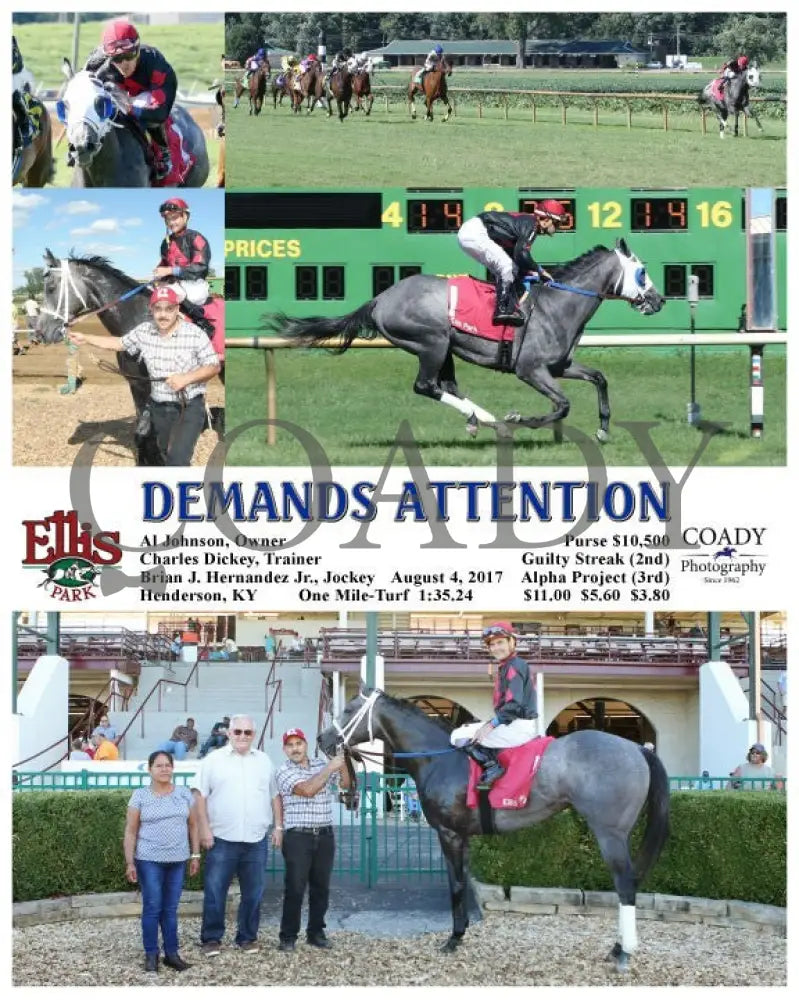 Demands Attention - 080417 Race 08 Elp Ellis Park