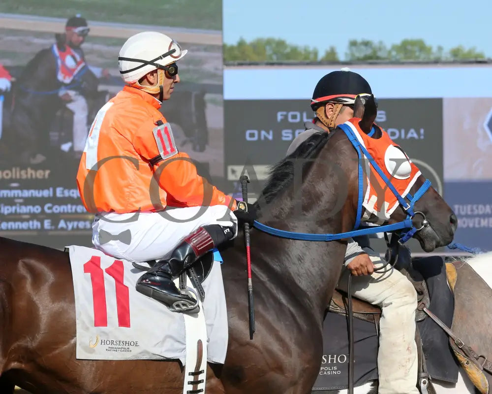 Demolisher - The Bucchero 19Th Running 08-21-24 R08 Horseshoe Indiana Post Parade 02 Sammantha