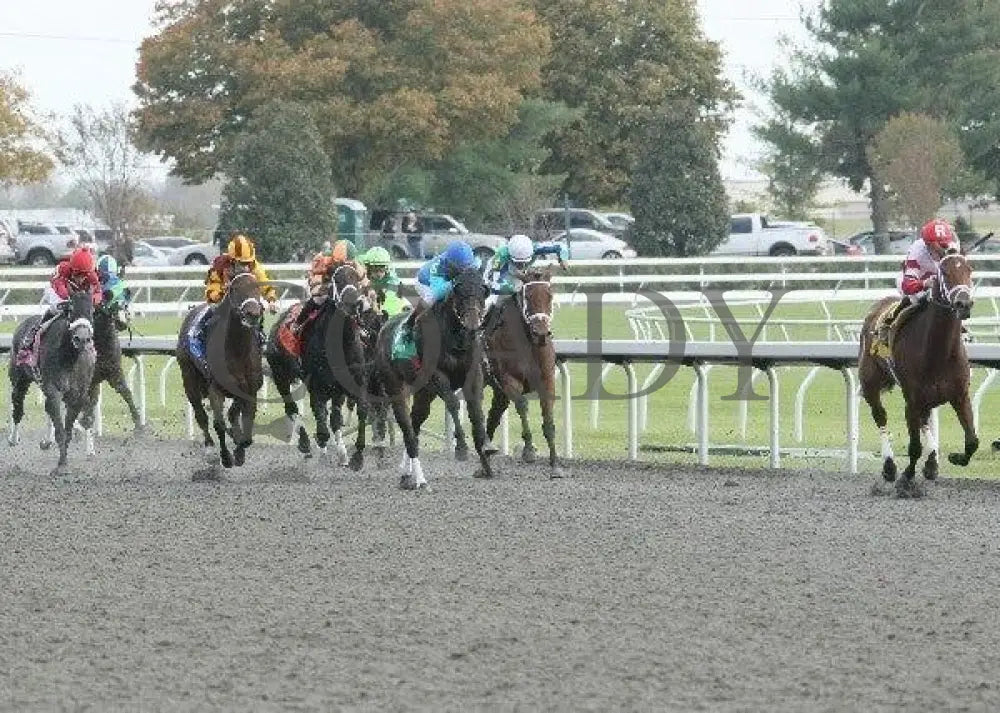 Demure Halo - 3- 102111 Race 05 Keeneland