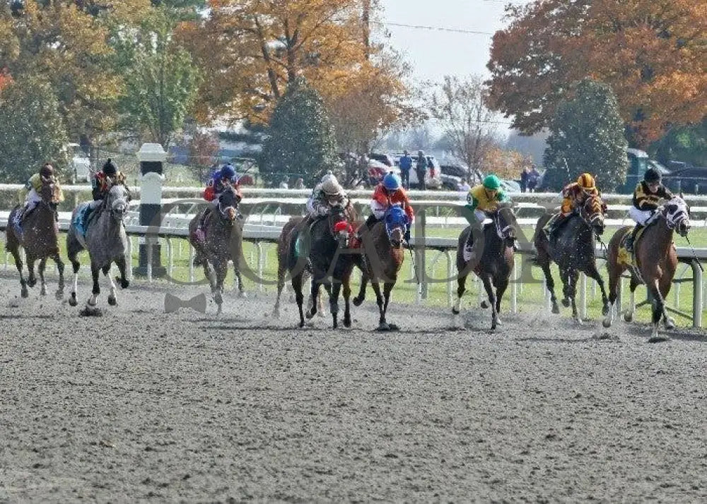 Deputy Darling - 1 102911 Race 03 Keeneland