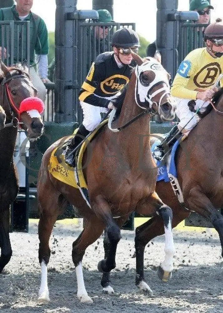 Deputy Darling - 3 102911 Race 03 Keeneland