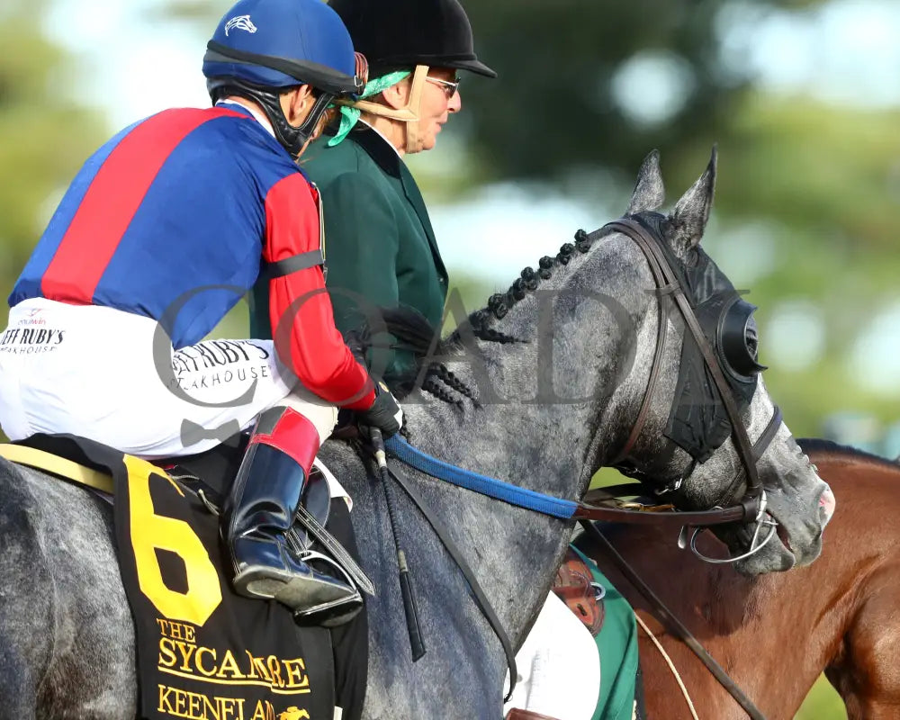 DESVIO - The Sycamore G2 - 31st Running - 10-10-25 - R09 - KEE - Come Back 03 Keeneland