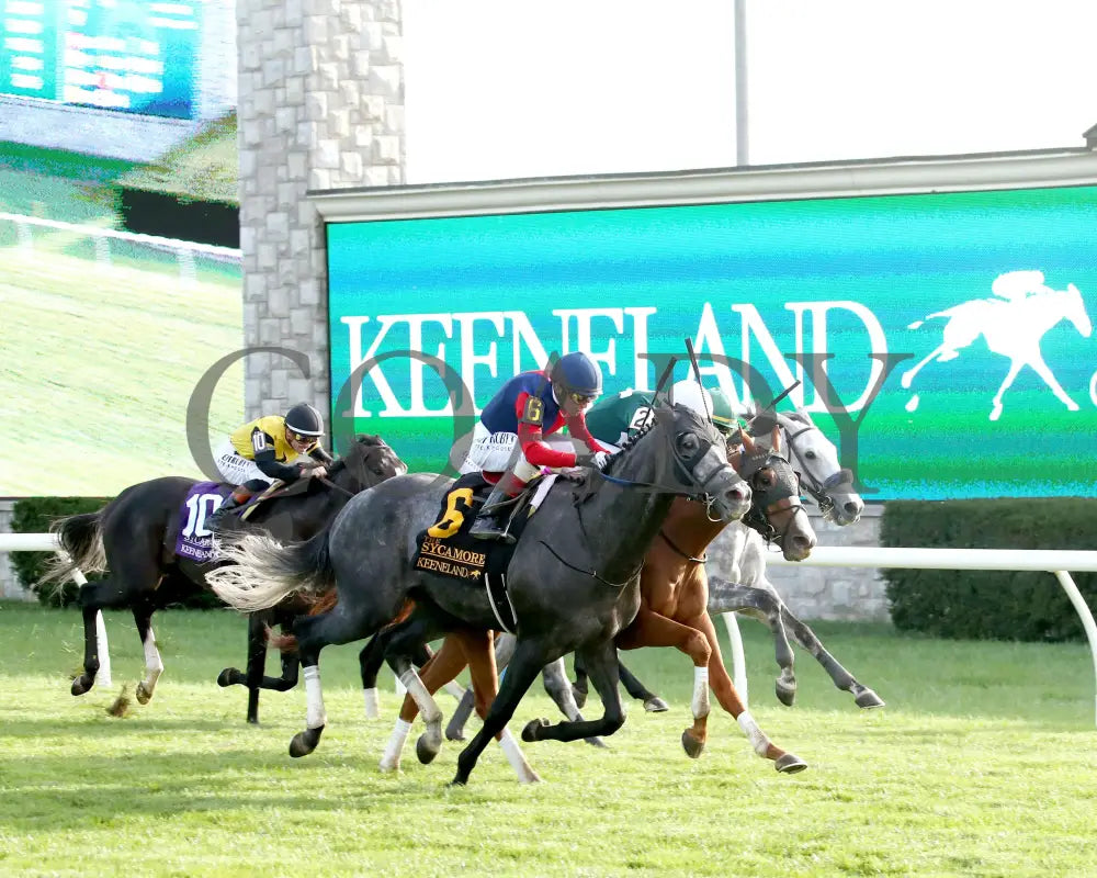 DESVIO - The Sycamore G2 - 31st Running - 10-10-25 - R09 - KEE - Finish 02 Keeneland