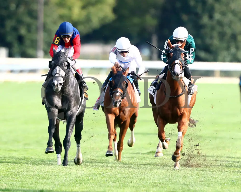 DESVIO - The Sycamore G2 - 31st Running - 10-10-25 - R09 - KEE - Head On 02 Keeneland