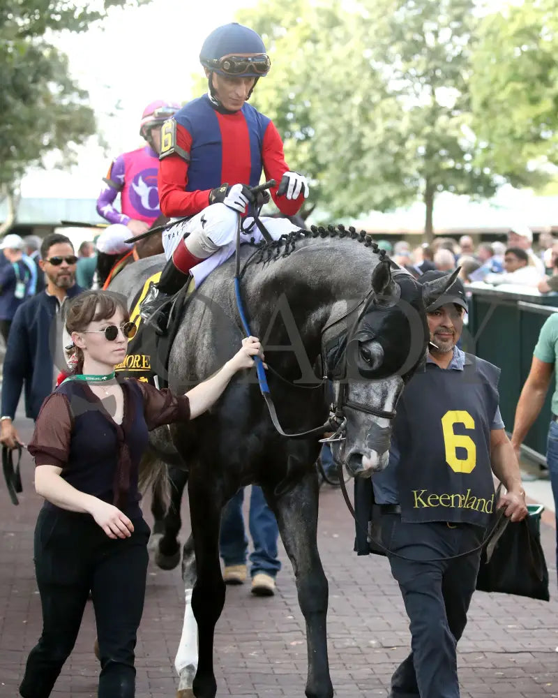 DESVIO - The Sycamore G2 - 31st Running - 10-10-25 - R09 - KEE - Paddock 01 Keeneland