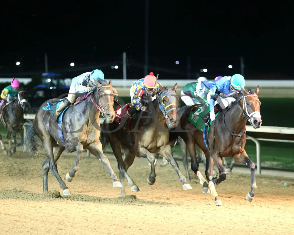 Diakonissa - West Virginia Triple Crown Nutrition Breeders Classic 10-12-24 R05 Ct Finish 02