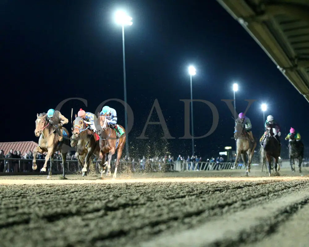 Diakonissa - West Virginia Triple Crown Nutrition Breeders Classic 10-12-24 R05 Ct Under Rail 01