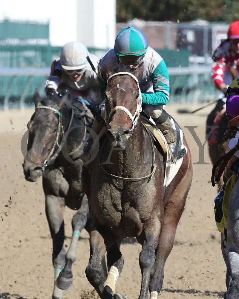 Dial Me - 11-03-19 R01 Cd Churchill Downs