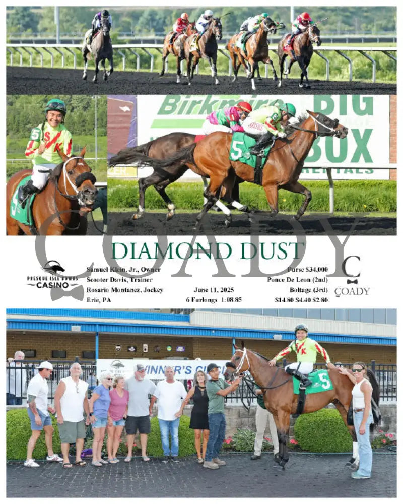DIAMOND DUST - 06-11-25 - R07 - PID Presque Isle Downs
