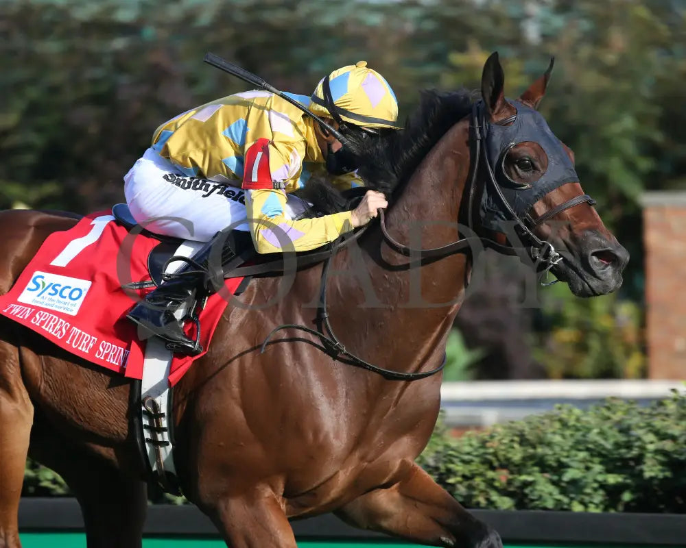 Diamond Oops - Twin Spires Turf Sprint G2 26Th Running 09-04-20 R13 Cd Finish 03 Churchill Downs