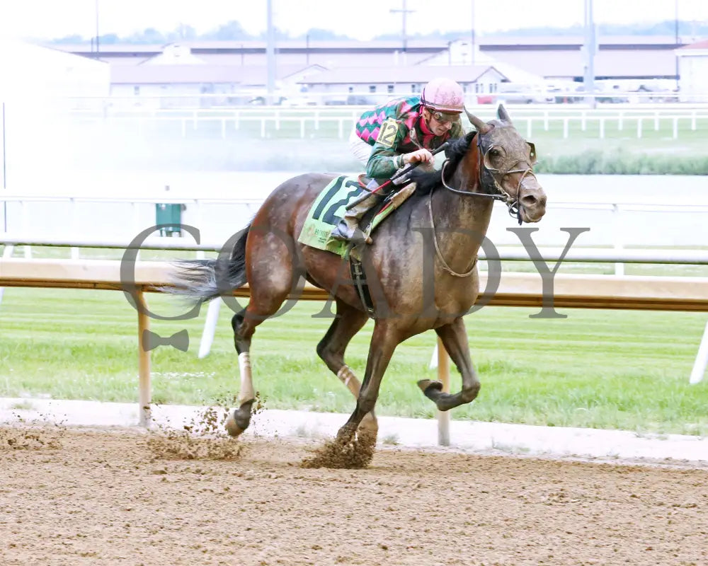 Diamond Solitaire - Shelby County 20Th Running 06-05-24 R07 Horseshoe Indiana Finish 02 Sammantha