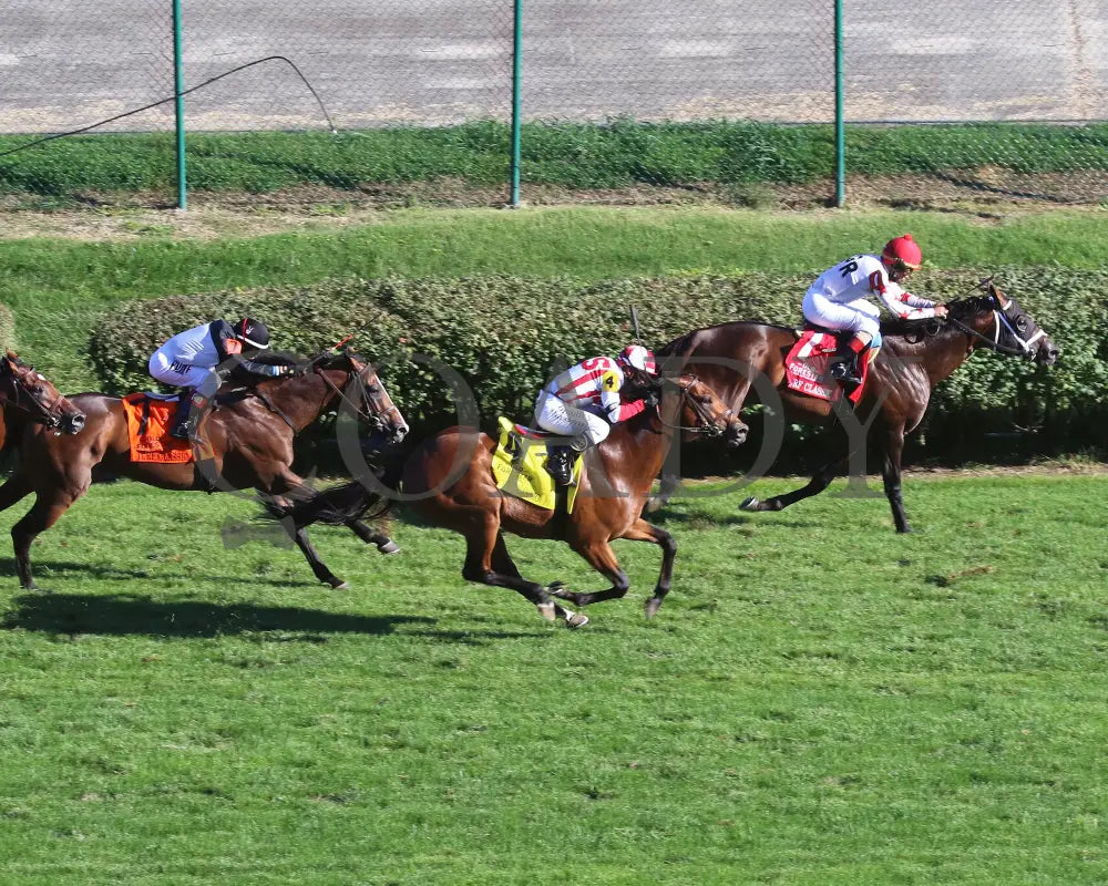 Digital Age - Old Forester Bourbon Turf Classic 34Th Running 09-05-20 R13 Cd Churchill Downs