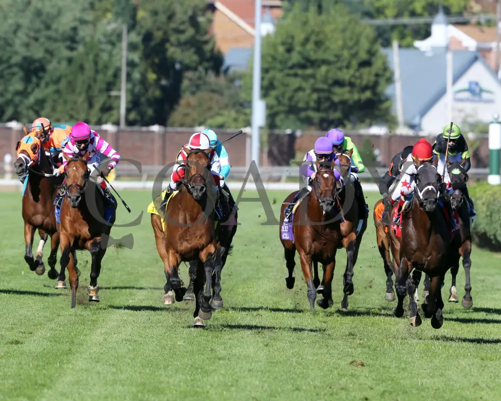 Digital Age - Old Forester Bourbon Turf Classic 34Th Running 09-05-20 R13 Cd Head On 01 Churchill