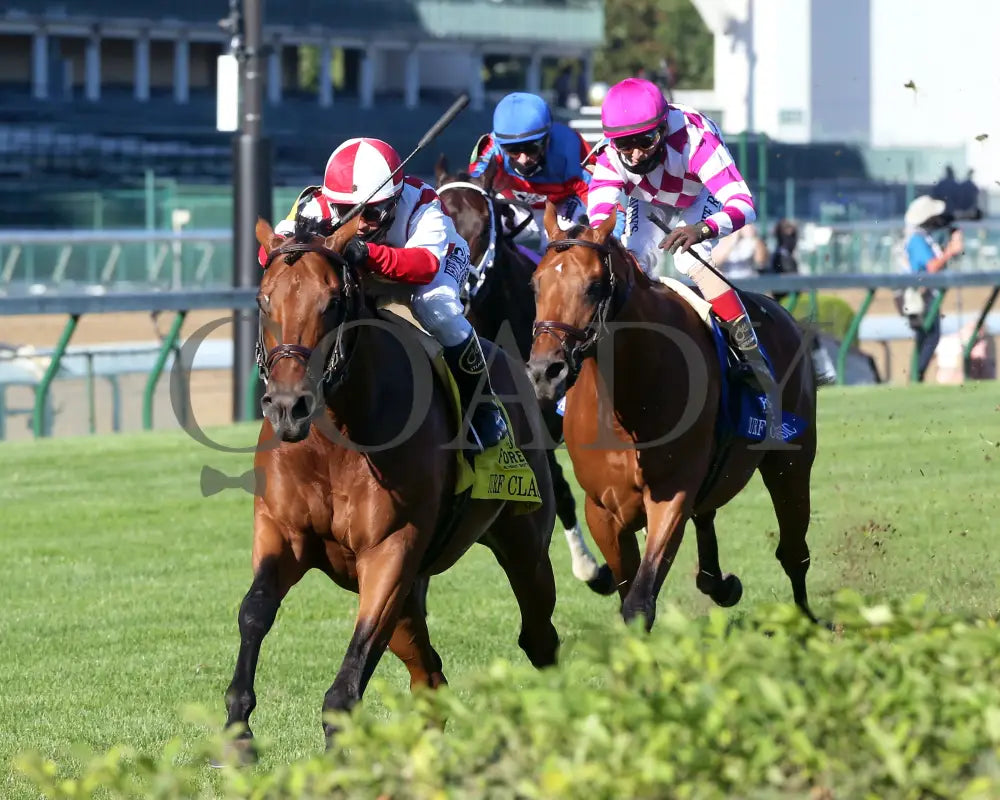 Digital Age - Old Forester Bourbon Turf Classic 34Th Running 09-05-20 R13 Cd Inside Finish 02