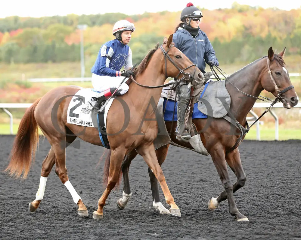 Dixieland Belle - The Finest City Stakes 10Th Running 10-14-24 R05 Pid Post Parade Presque Isle