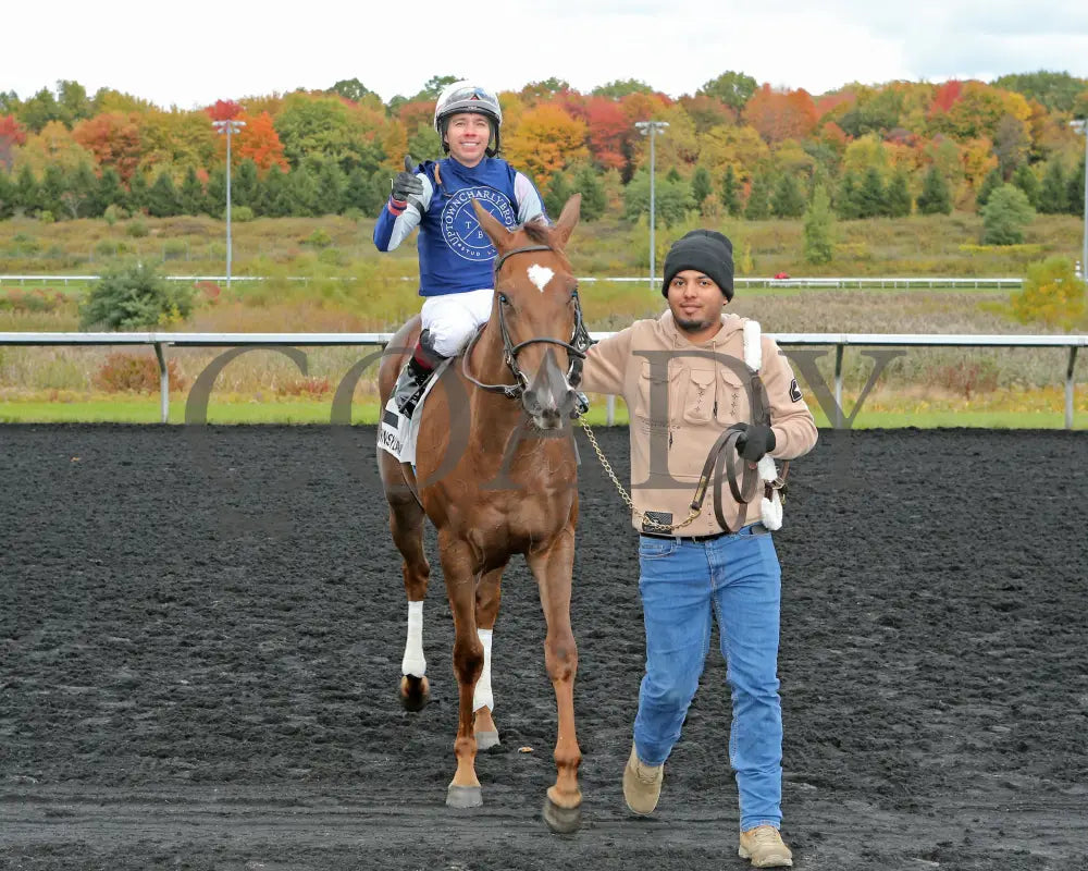 Dixieland Belle - The Finest City Stakes 10Th Running 10-14-24 R05 Pid Walk In Presque Isle Downs