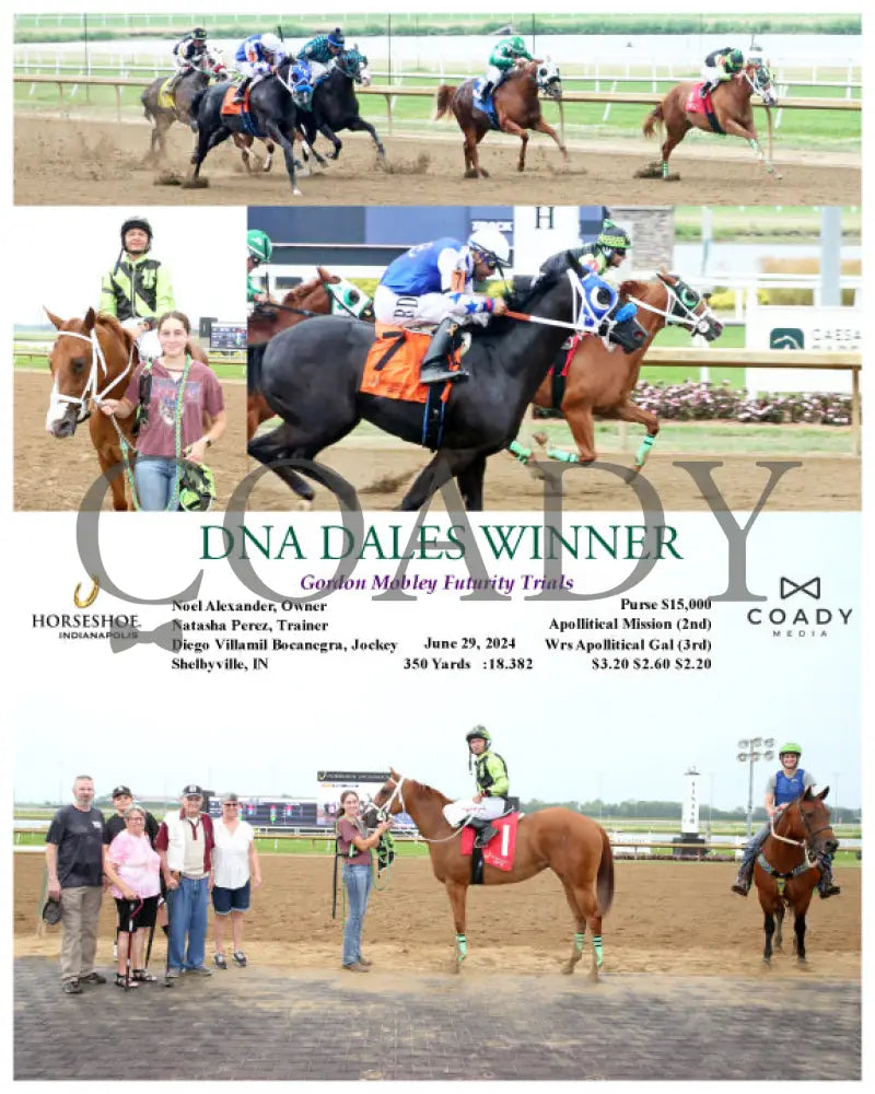 Dna Dales Winner - Gordon Mobley Futurity Trials 06-29-24 R05 Ind Indiana Grand