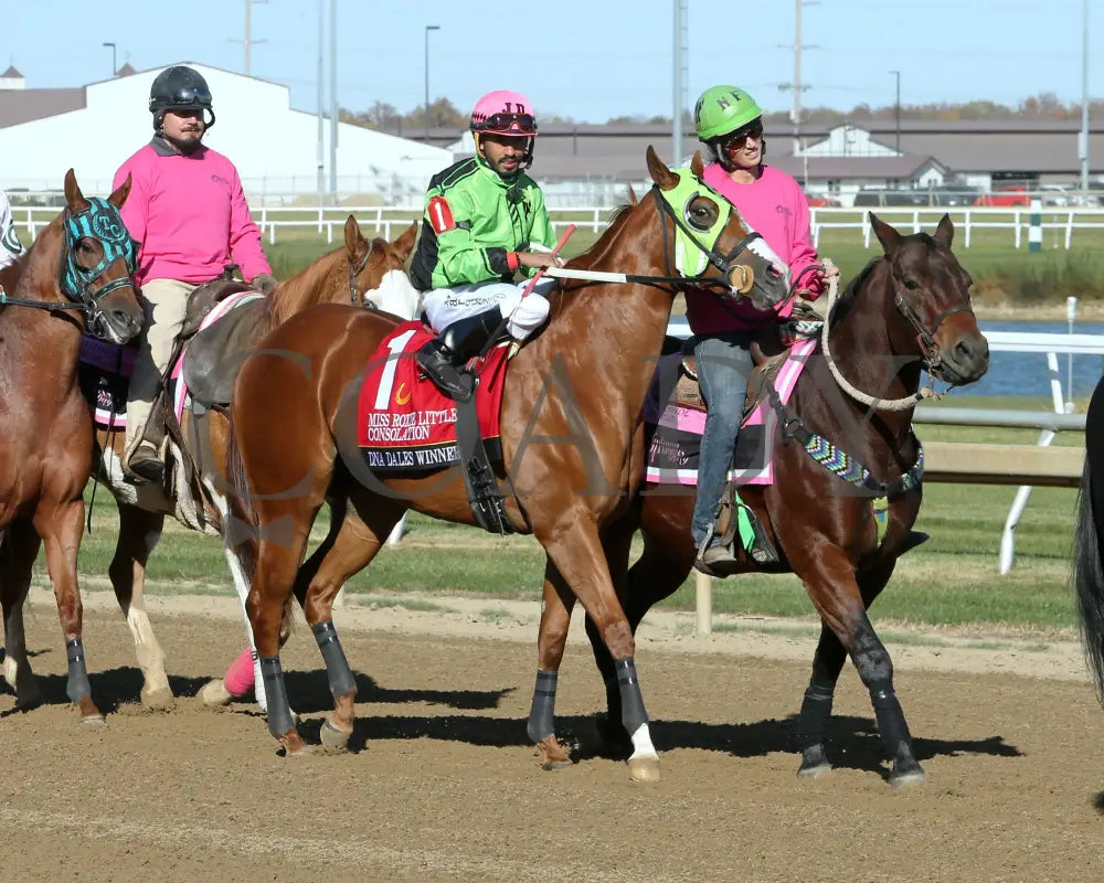 Dna Dales Winner - Miss Roxie Little Consolation Stakes 10-26-24 R08 Horseshoe Indiana Post Parade