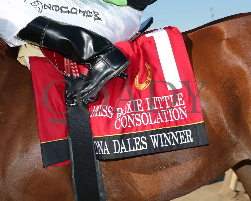 Dna Dales Winner - Miss Roxie Little Consolation Stakes 10-26-24 R08 Horseshoe Indiana Saddle Towel