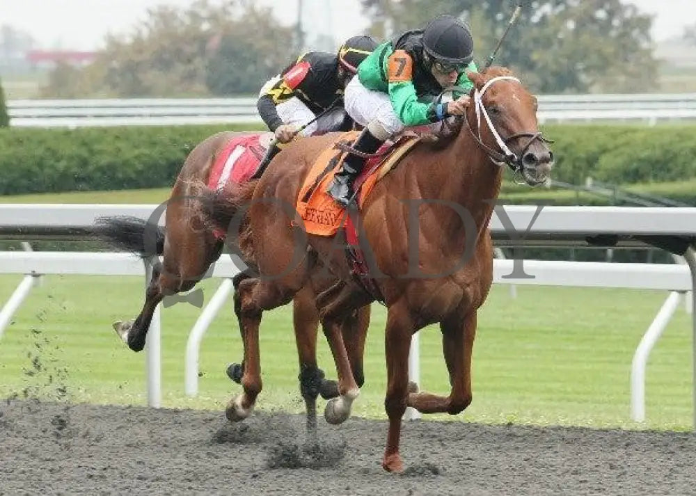 Dogwoods Barto - 3 101211 Race 02 Keeneland