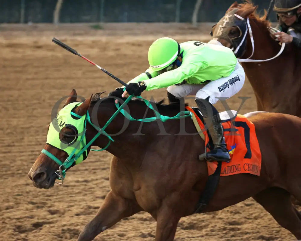 DOUBLE YOUR MONEY - The Jewel - 11-15-25 - R10 - CD - Inside Finish 01 - Coady Media - Kurtis Coady Photography