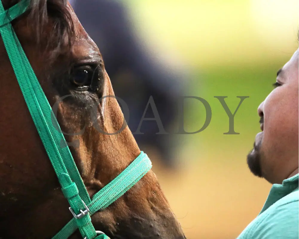 DOUBLE YOUR MONEY - The Jewel - 11-15-25 - R10 - CD - Post Race 01 - Coady Media - Kurtis Coady Photography