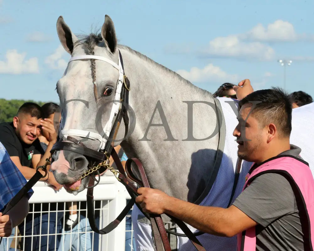 Dragoon Gaurd - Indiana Derby 30Th Running G3 07-06-24 R12 Horseshoe Paddock 01 Samantha Pagels