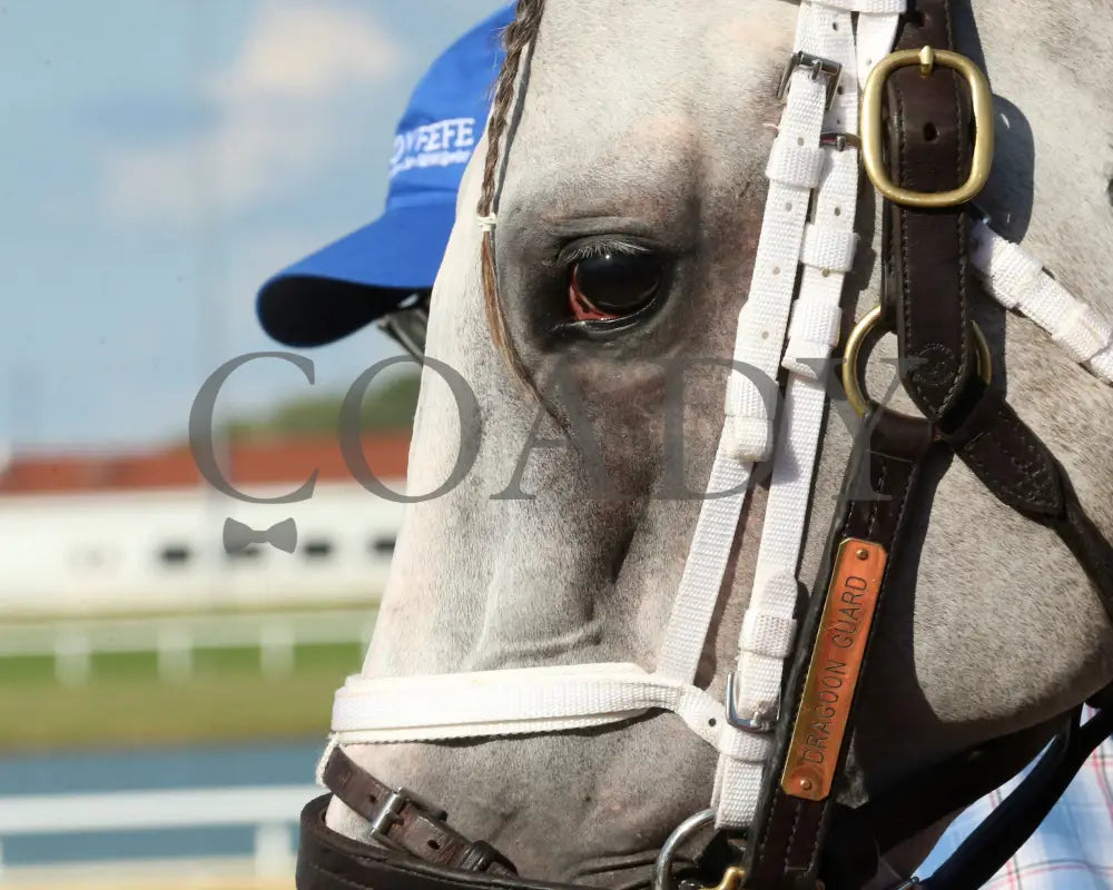 Dragoon Gaurd - Indiana Derby 30Th Running G3 07-06-24 R12 Ind Paddock 05 Grand