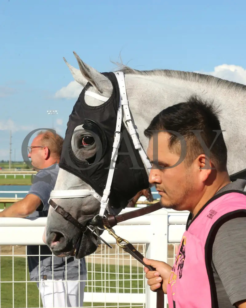 Dragoon Gaurd - Indiana Derby 30Th Running G3 07-06-24 R12 Ind Paddock 08 Grand
