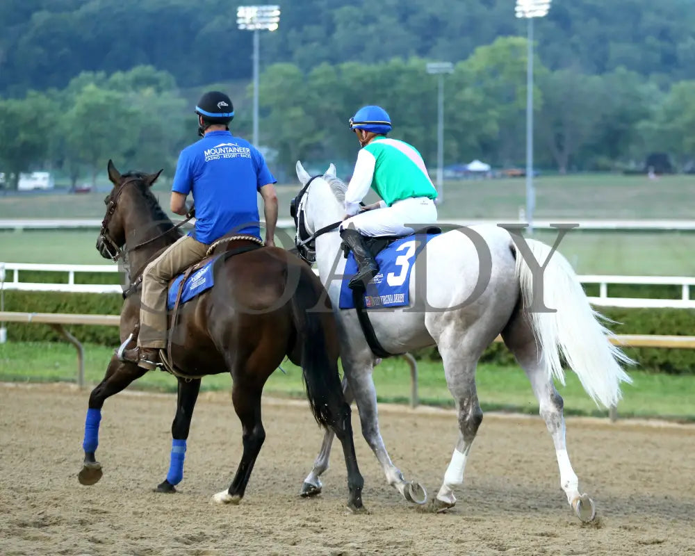 Dragoon Guard - The West Virginia Derby G3 08-04-24 R08 Mnr Post Parade 01 Mountaineer Park
