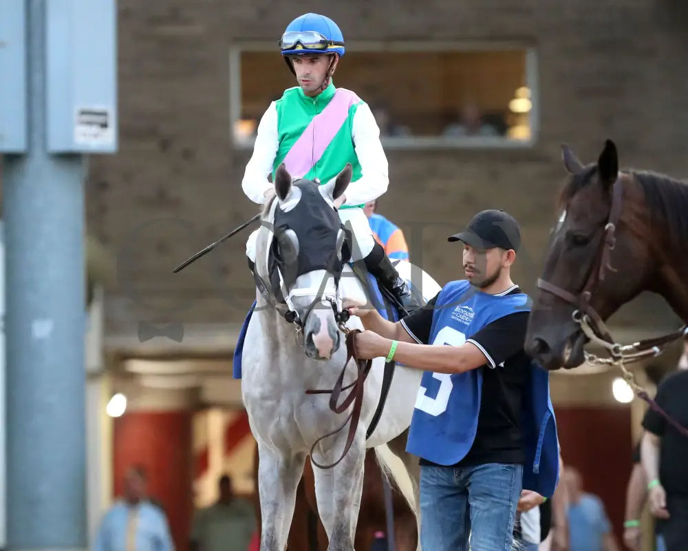 Dragoon Guard - The West Virginia Derby G3 08-04-24 R08 Mnr Post Parade 03 Mountaineer Park