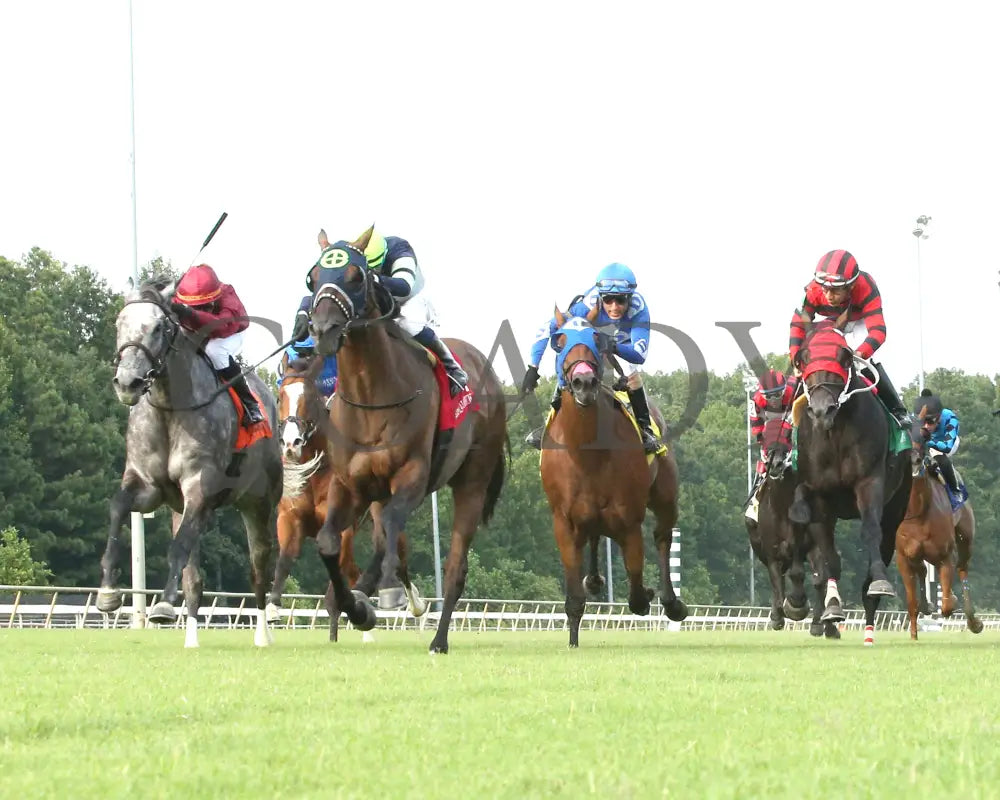 Dream Shake - The Van Clief Stakes 08-11-24 R08 Cnl Under Rail 01 Colonial Downs