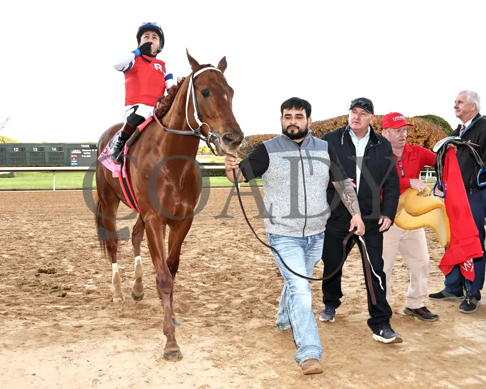 DREAMINBLUE - SILKS OVERNIGHT STAKES - 12-19-25 - R09 - OP - Come Back 01 - Coady Media - Kurtis Coady Photography
