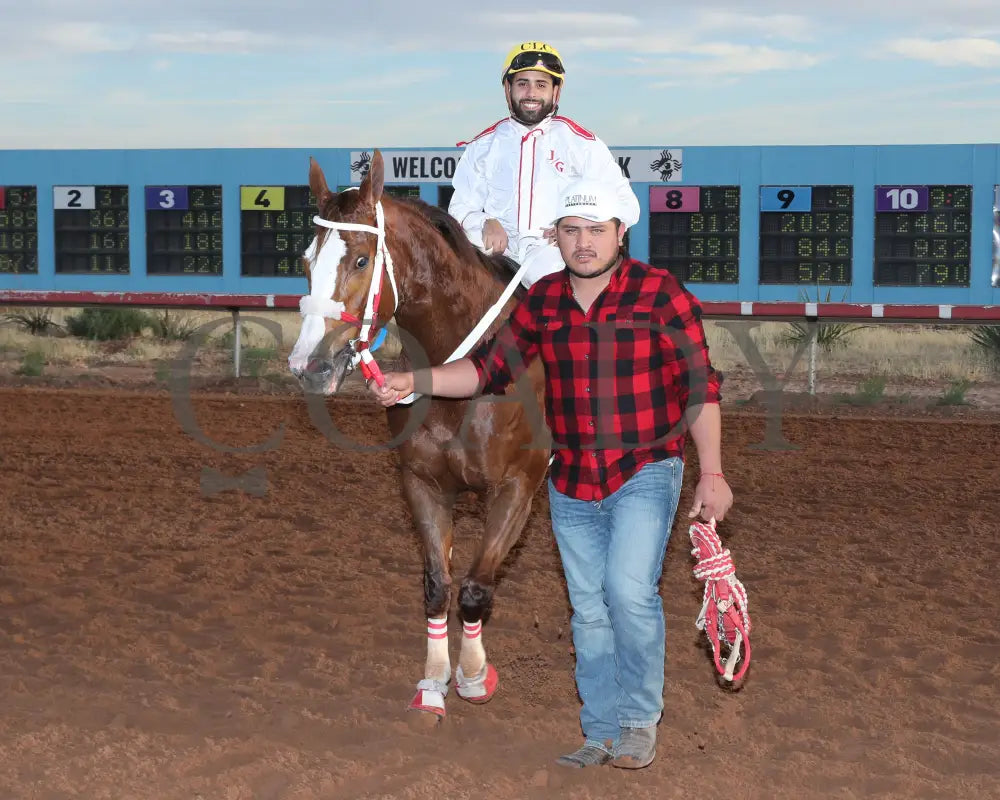 Drest For Success - New Mexico Classic Derby 12-15-24 R11 Zia Park Return Shot