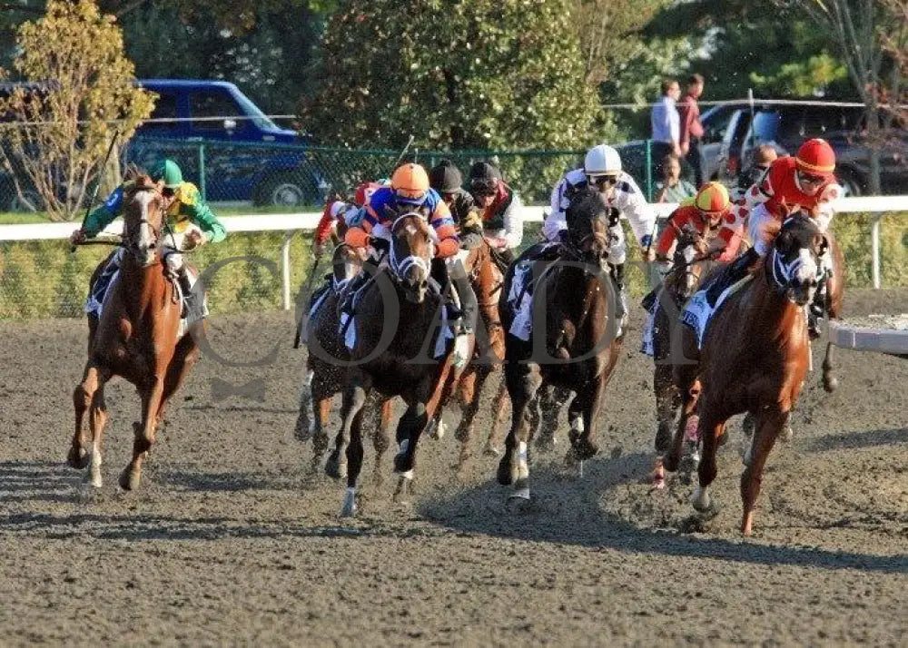 Dullahan - Turn 1 100811 Race 08 Keeneland