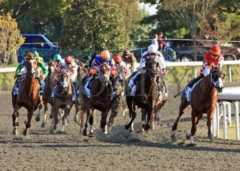 Dullahan - Turn 2 100811 Race 08 Keeneland