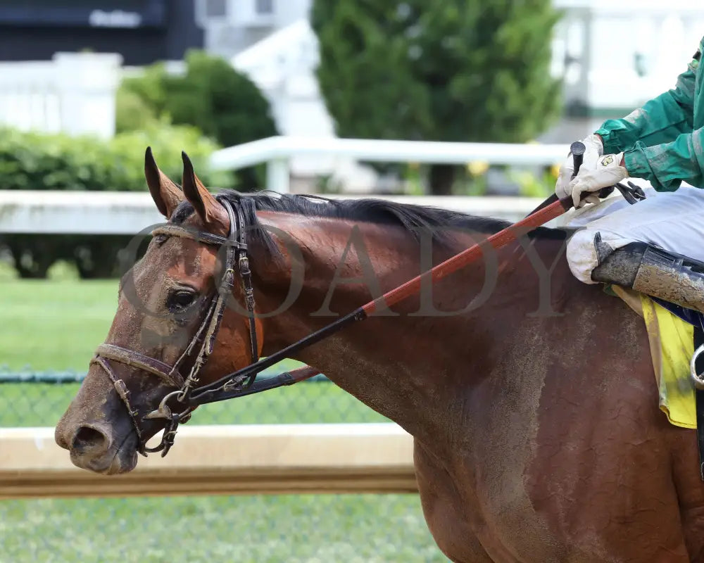 Dunbar Road - The Shawnee 1St Running 05-23-20 R07 Cd Come Back 02 Churchill Downs
