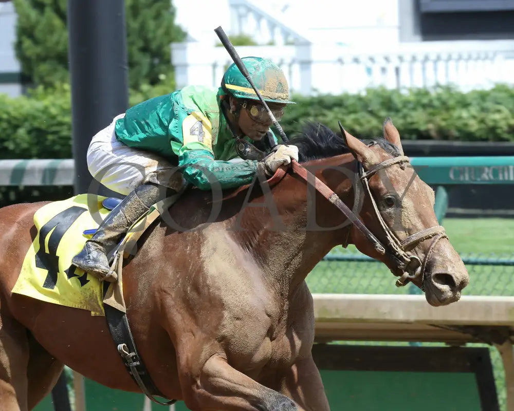 Dunbar Road - The Shawnee 1St Running 05-23-20 R07 Cd Tight Finish 01 Churchill Downs