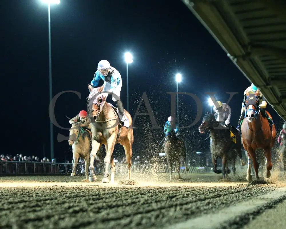 Duncan Idaho - West Virginia Dash For Cash Breeders Classic 10-12-24 R02 Ct Under Rail 01 Hollywood