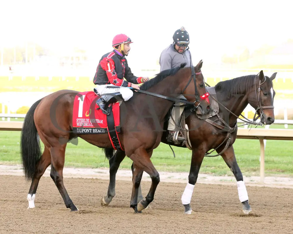 Dupont Beach - Sterlie Bertram Memorial Stakes Final 10-09-24 R09 Horseshoe Indiana Post Parade 01