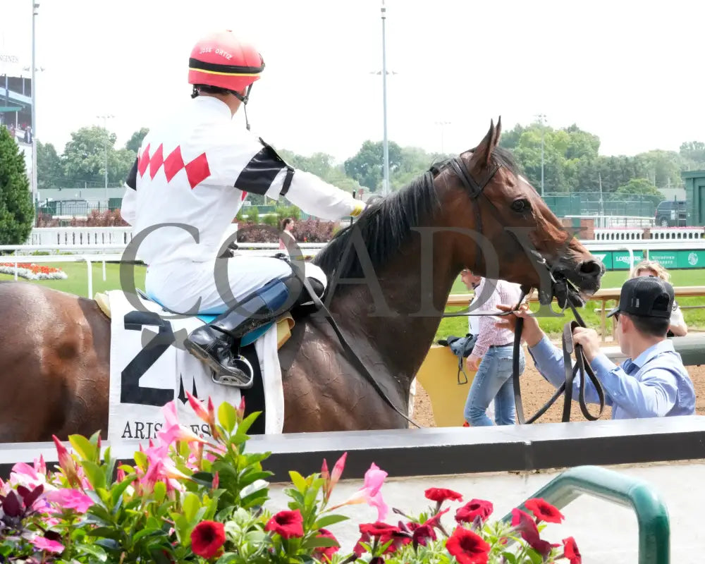 DURANTE - 053125 - Race 06 - CD The Aristides G3 - 37th Running - Come Back 03 Churchill Downs