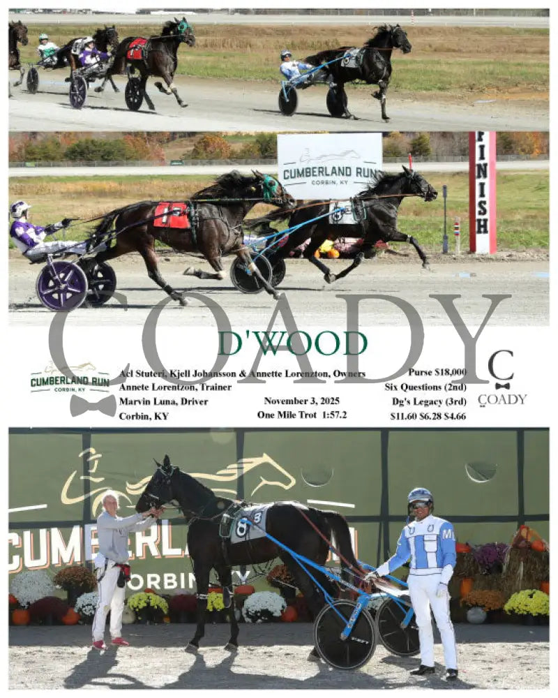 D’WOOD - 11-03-25 - R03 - CMR Presque Isle Downs